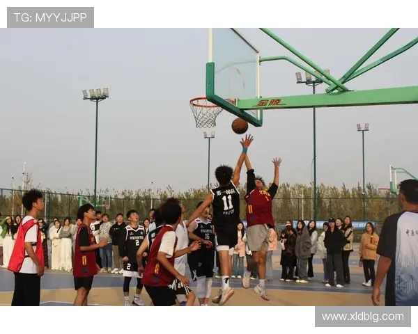 以篮球为纽带探索团队合作与青春奋斗精神的无限可能