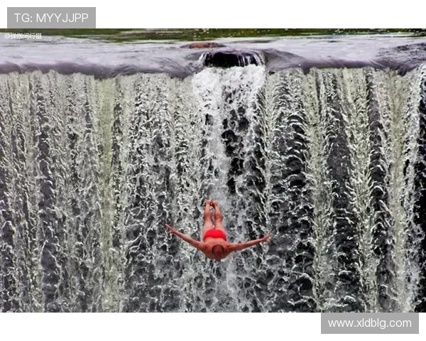 从惊险到艺术全面解析跳水运动的技巧心理与美学魅力