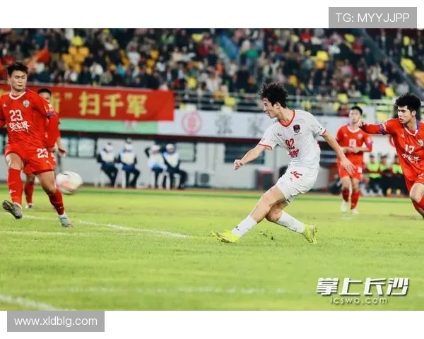 岳阳队奋勇拼搏再创辉煌展现新时代足球精神风貌 岳阳队奋勇拼搏再创辉煌展现新时代足球精神风貌