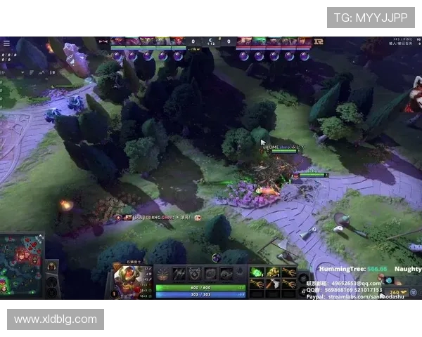 DOTA2耐力排名新突破RNG战队表现令人瞩目再创佳绩 DOTA2耐力排名新突破RNG战队表现令人瞩目再创佳绩