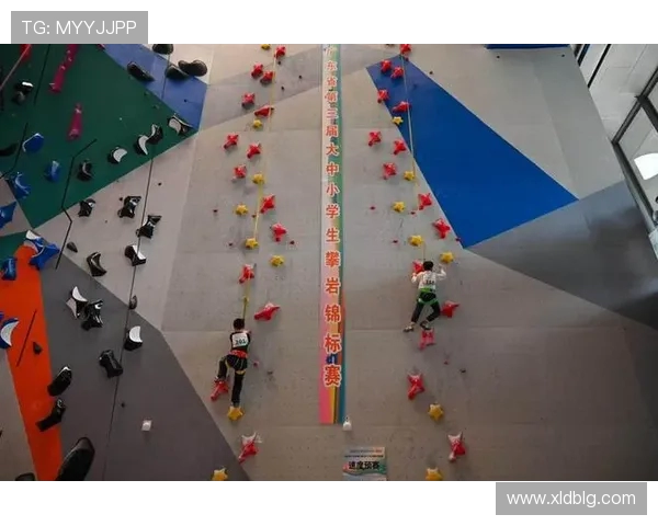 广州攀岩队协作模式创新探讨与热议攀岩运动发展新趋势