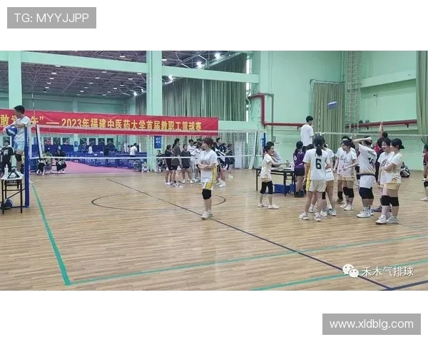 杭州排球队配合变革引发热议探索新战术与团队协作的未来发展