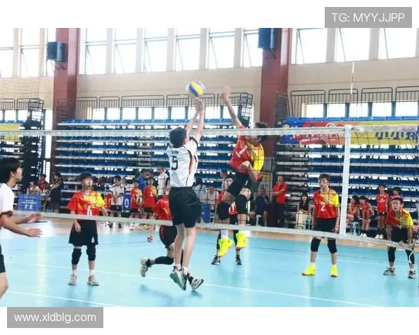 重庆排球队盯防战术解析与深度剖析排球竞技的关键因素