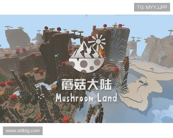 重磅专题解析V5防反革新如何改变游戏格局与战术策略