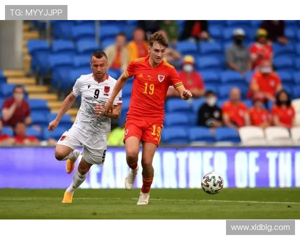 北方星与本土拓为的战略对决与市场前景分析 北方星与本土拓为的战略对决与市场前景分析