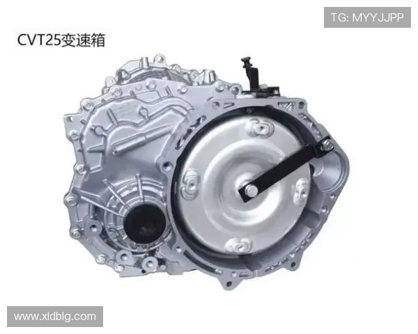 发电机与公羊的较量:动力与力量的终极对决分析 发电机与公羊的较量:动力与力量的终极对决分析